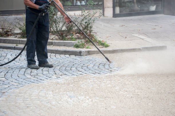 Best House Exterior Washing  in Dland, MI